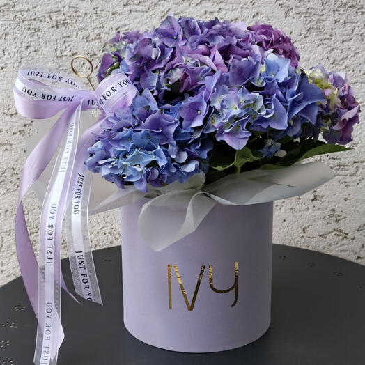 Hydragenia  (ortanca)