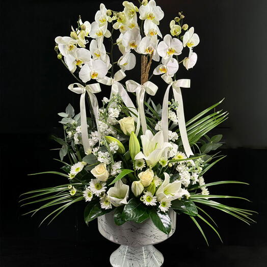 Beyaz Orkideler Aranjmanı HR 331