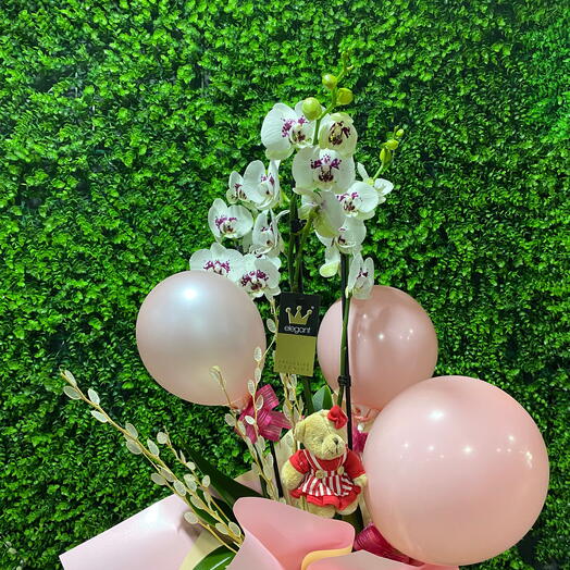 Orkide balon suslemeli