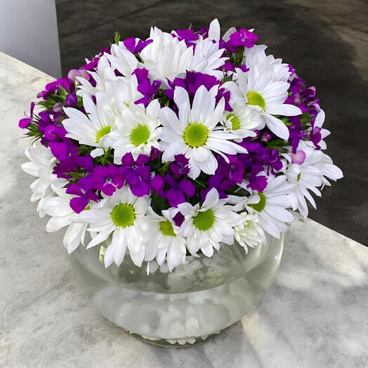 Akvaryum vazoda aranjman