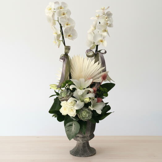 Vazoda orkide arajmanı