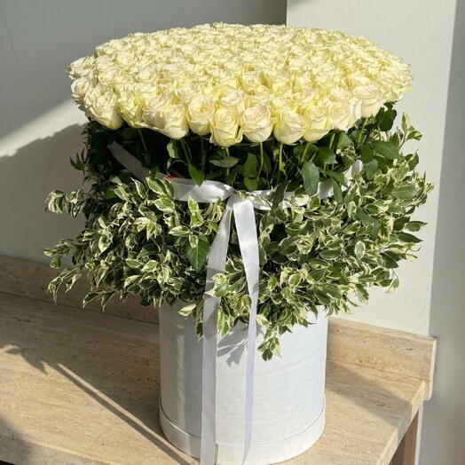 151 beyaz gül kutusu