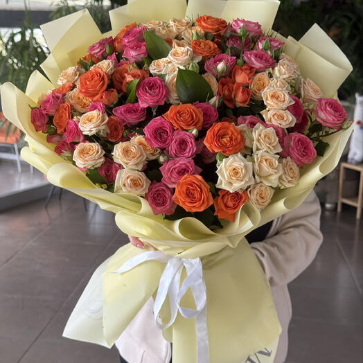 Spray rose bougetss