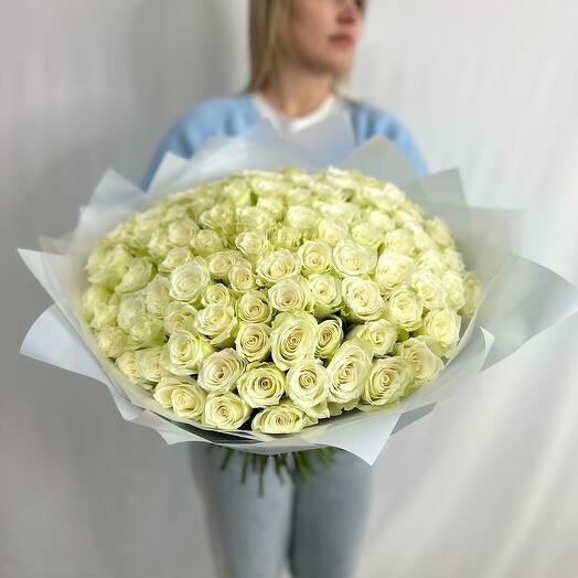 101 White Roses