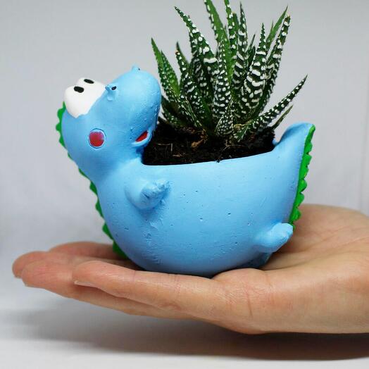 Sevimli Dinazor Saksı ve Canlı Sukulent Bitki