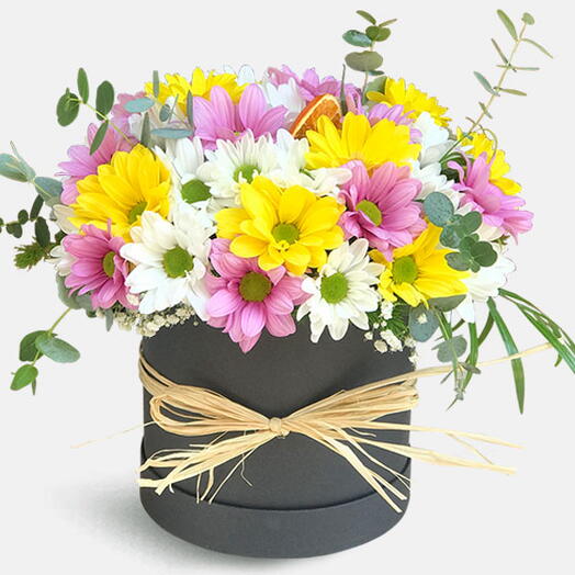 Kutuda Mix Papatyalar