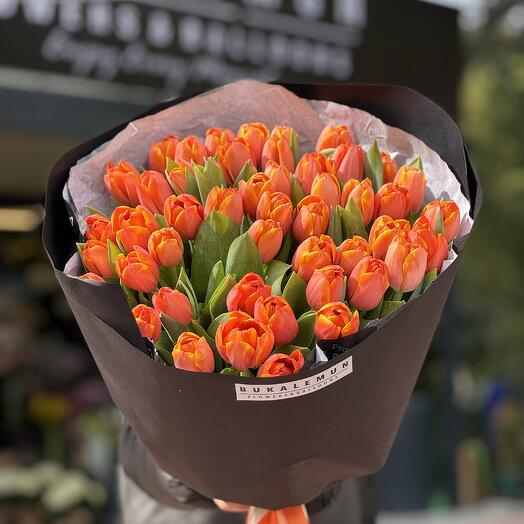 51 orange tulips x