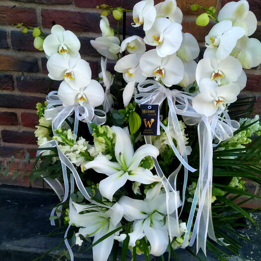 Beyaz orkide aranjmanı
