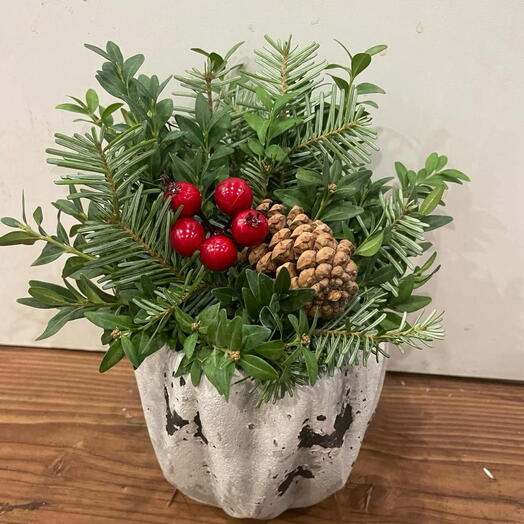 Yılbaşı saksısı