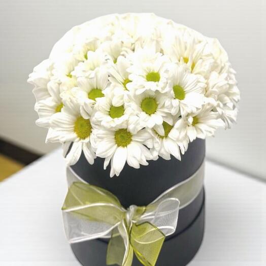 Beyaz Papatya Kutusu - Şık ve Zarif Çiçek Aranjmanı