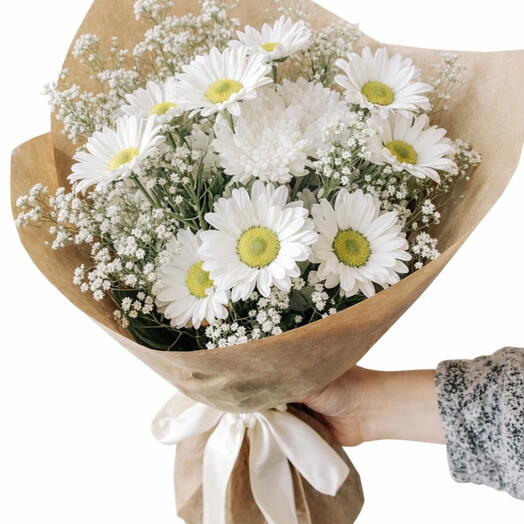 Гвоздика ромашка