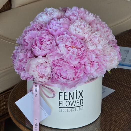 Kutuda pembe şakayıklar