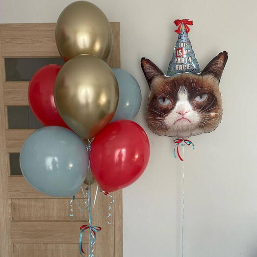 Grumpy  Cat balon seti