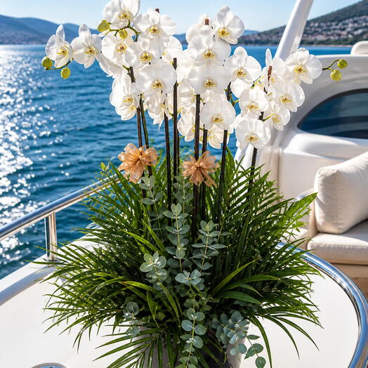 Ocean White Orchid Elegance