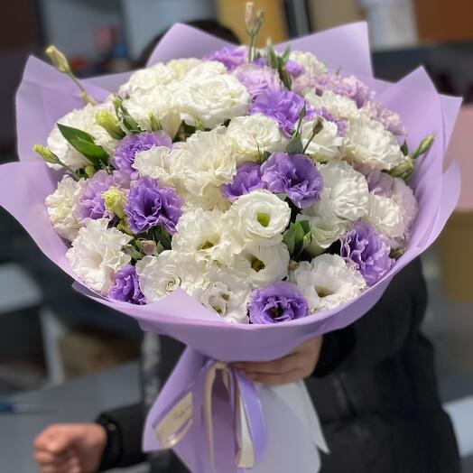 Bukalemun Purple Eustoma Mix