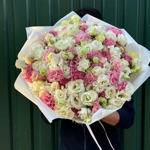 Delicate tones eustoma