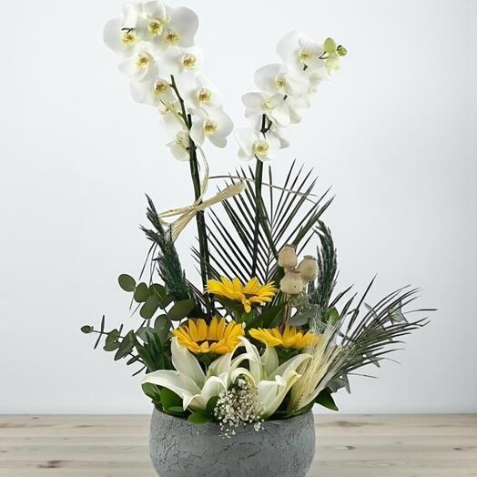 Gizemli Beyaz Bahçe Koleksiyonu: Çiftli Orkide, Lilyum ve Ayçiçeği Şoleni
