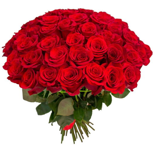 51 red rosess gul buketi