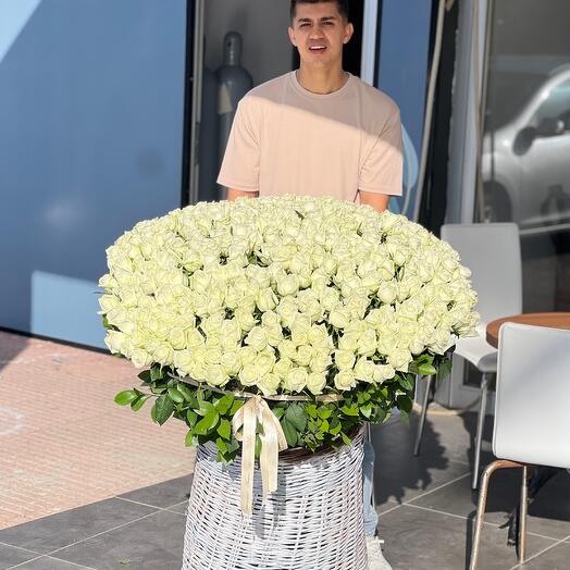 501 beyaz gul sepette