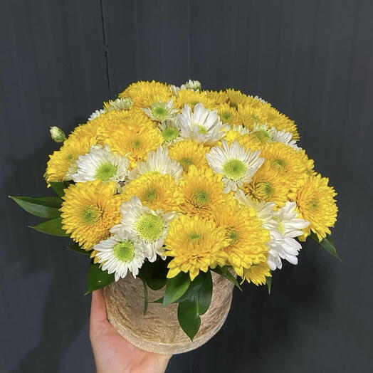 Sarı beyazlı Krizantem kutuda