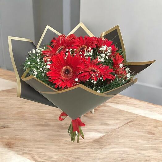 Red Gerbera Bouquet (8 pieces)