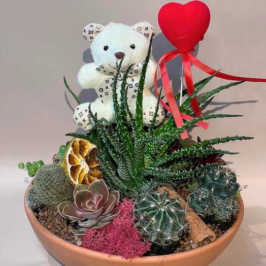 Succulents