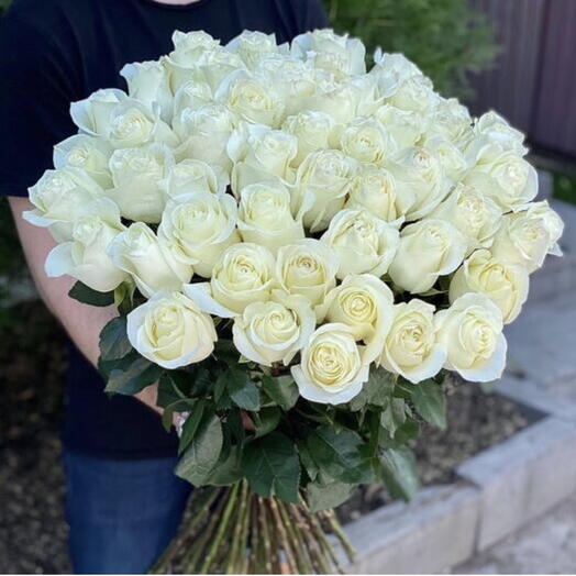 31 White rose