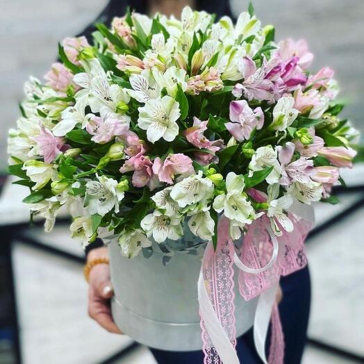 Alstroemeria Box