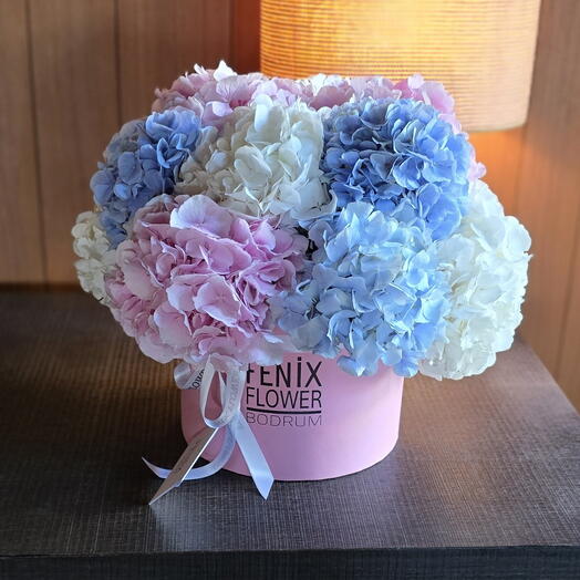 Bir kutu içinde ortancalar