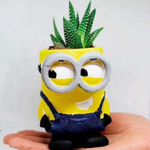 Minion Sukulent Dekoratif Saksı + Canlı Sukulent Bitki