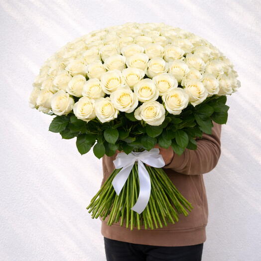 31 white rose