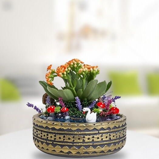 Desenli Saksıda Kalanchoe Teraryum
